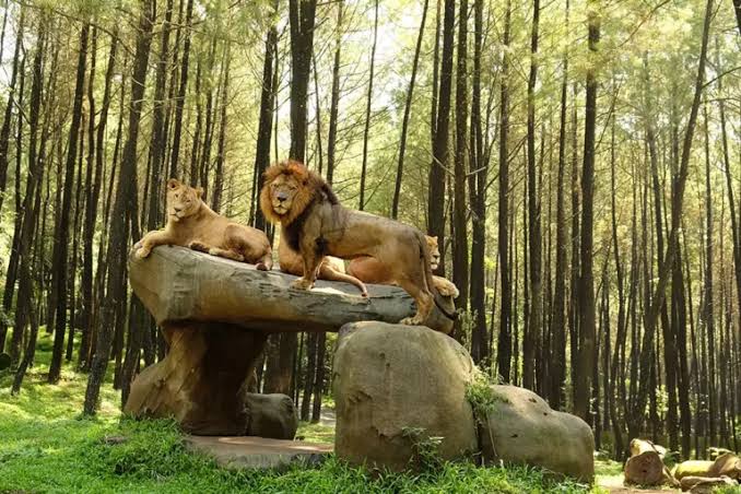 10 Destinasi Wisata Terbaik di Jakarta yang Wajib Dikunjungi